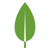 MongoDB Logo